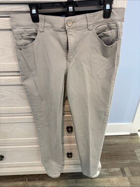Democracy Khaki  'Ab'solution' Pants